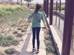 -南汇桃花村