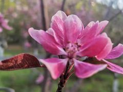 -长白岛森林公园