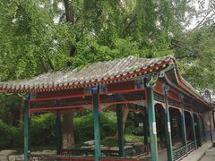 -宣武艺园