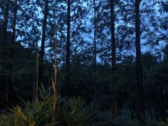 -茅庐·川粤精品私房菜(金沙遗址店)