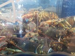 -盒马鲜生(宝地店)
