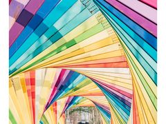 -合肥滨湖国家森林公园