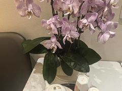 -德兴show鲜·蒸汽海鲜火锅餐厅(格创悦里店)