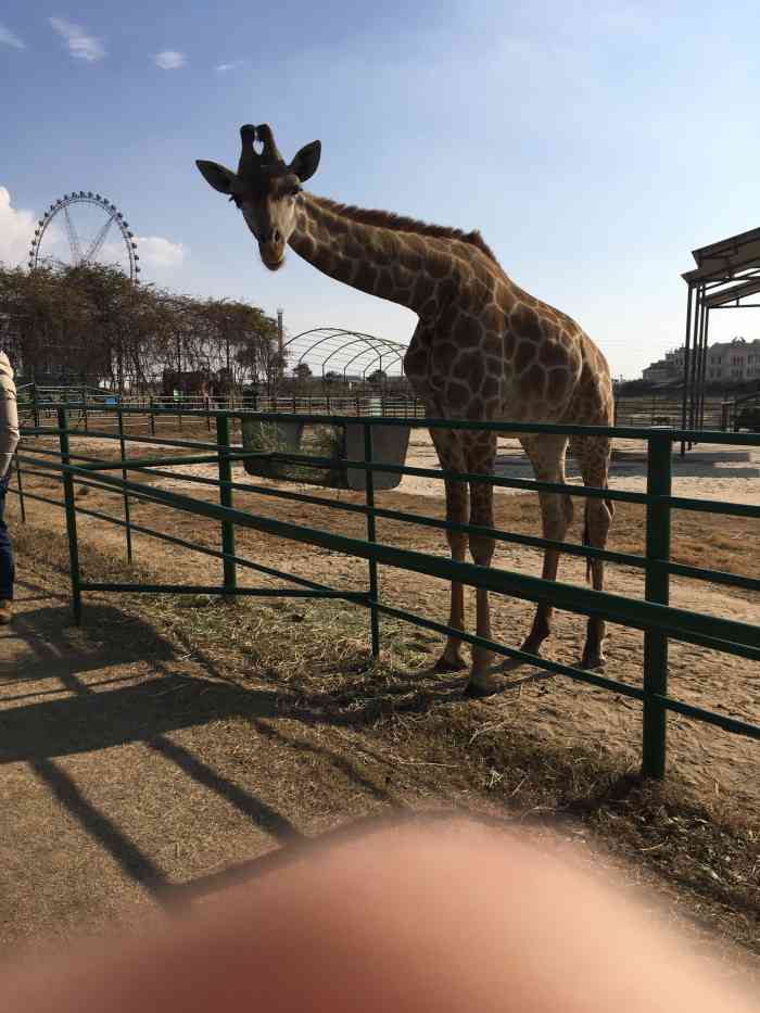 盐城大丰港动物园