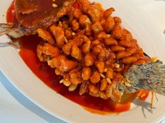 -洋洋中餐馆·SINCE 1997(龙湖星湖天街店)