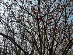 景点-西昌邛海湿地