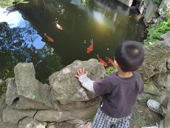 -绮园景区