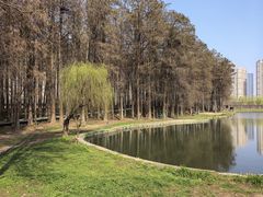 -汉水公园
