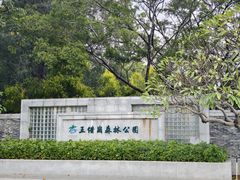 -王借岗森林公园