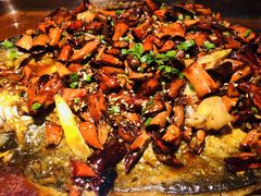 -鱼非鱼(徐家汇店)