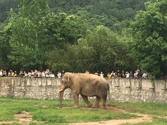 -西安秦岭野生动物园