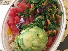 -油梨树 AVOCADO TREE(亮马桥店)