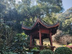 -金鸡山公园