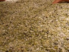 -汤沐邑温泉会馆