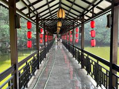 -侨美·唐荔园·40年地道粤菜