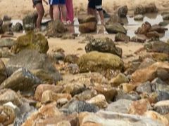 -邻岸海景民宿(南澳杨梅坑店)