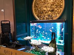 -雀蓝川菜(奥体广场店)