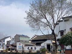 -东梓关景区村庄