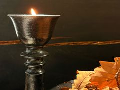 -自由生长植物工作室(深港花卉中心店)