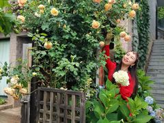 -丽江泸沽湖景区