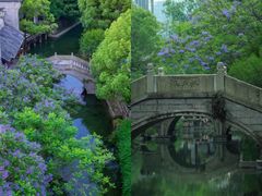 -龙潭水乡