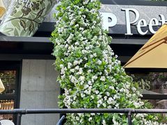 -Peet's 皮爷咖啡(东湖路手作店)