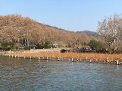 -西湖游船