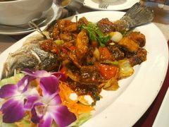 -Daddy Nimman Chiang Mai