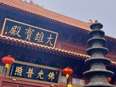 -深圳仙湖植物园
