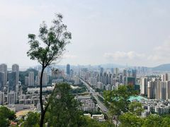 -板樟山森林公园