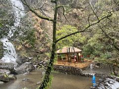 -石台牯牛降景区