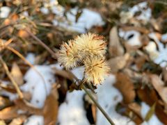 -镇江市南山风景名胜区竹林景区