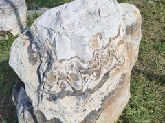 -马家湾湿地公园