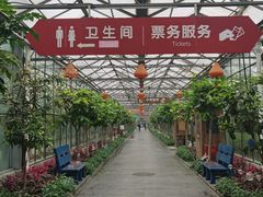 -南宫五洲植物乐园