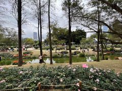 -人民公园(罗湖区)