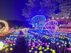-光明农场大观园