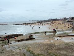 -日照世帆赛基地