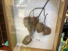 -武汉荟聚