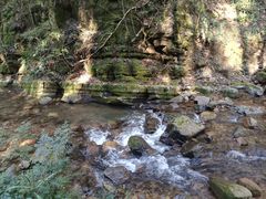 -江西阳明山国家森林公园