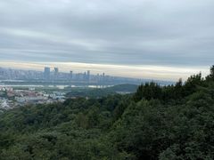 -MAMACHA妈妈茶(岳麓山店)