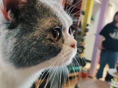 -万小咖.猫咖(中山路天虹店)