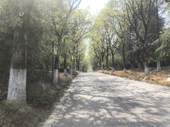 -白塘生态植物园