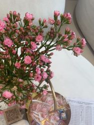 -WENDY·温迪皮肤管理