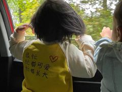 -黄海国家森林公园