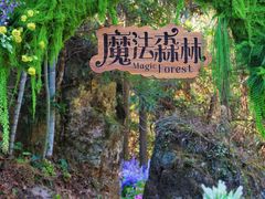 -龙湾潭国家森林公园