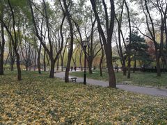 -玲珑塔公园
