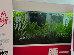 -牙博士口腔品牌连锁(城区店)