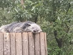 -云南野生动物园