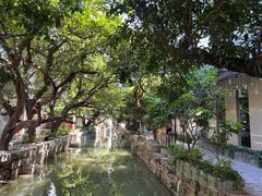 -小洲村
