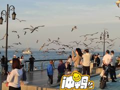 -东港音乐喷泉广场